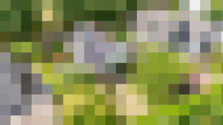 Reggeplantsoen 4 Almere thumbnail 78