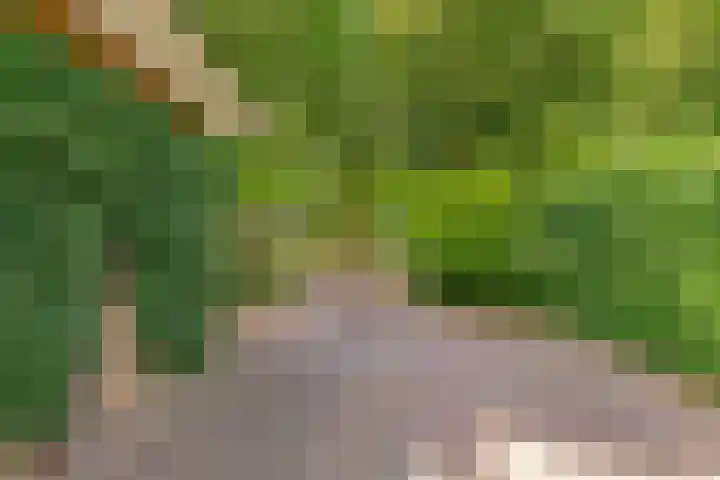 Reggeplantsoen 4 Almere thumbnail 83