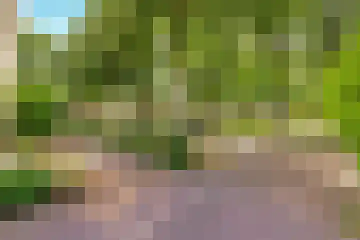 Reggeplantsoen 4 Almere thumbnail 84