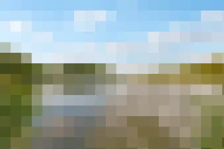 Reggeplantsoen 4 Almere thumbnail 89