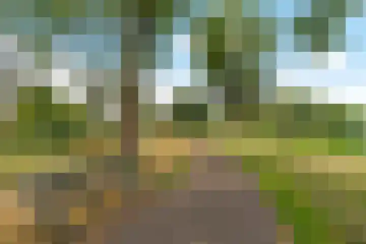 Reggeplantsoen 4 Almere thumbnail 90