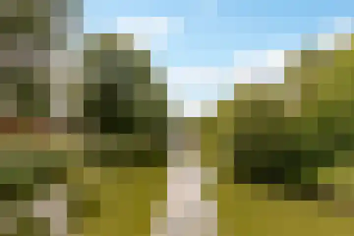 Reggeplantsoen 4 Almere thumbnail 92