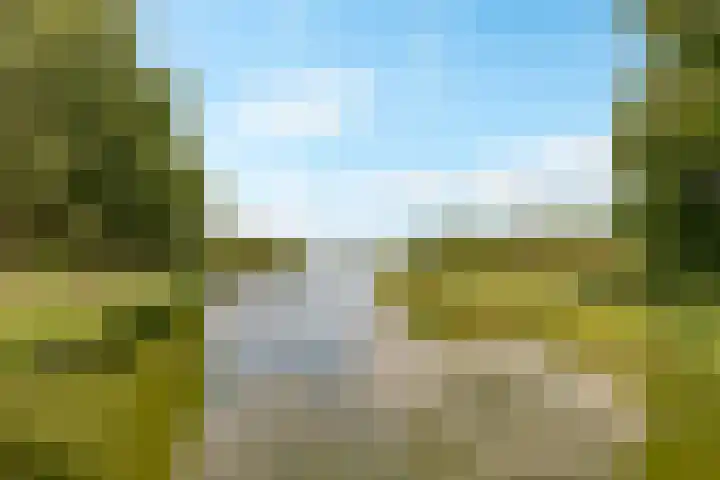 Reggeplantsoen 4 Almere thumbnail 94
