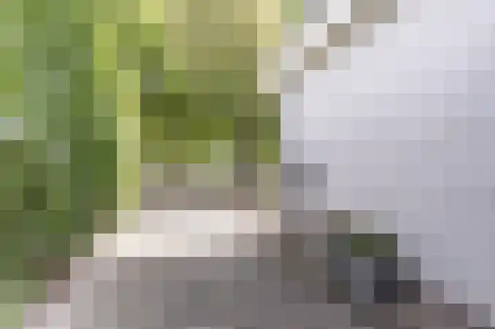 Reggeplantsoen 5 Almere thumbnail 53