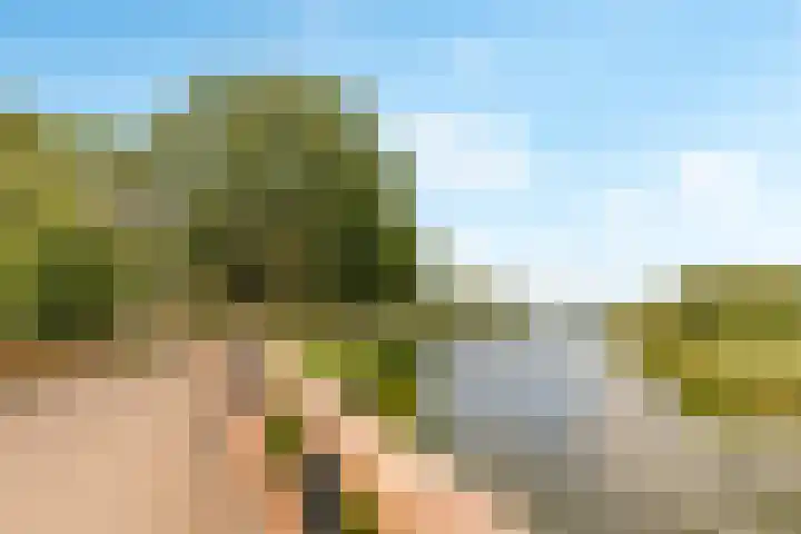 Reggeplantsoen 5 Almere thumbnail 56
