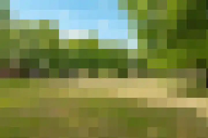 Reggeplantsoen 5 Almere thumbnail 57