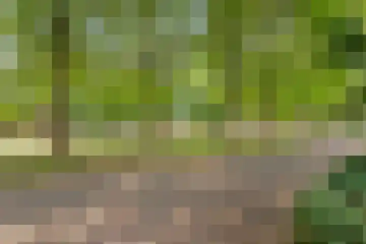Reggeplantsoen 5 Almere thumbnail 59
