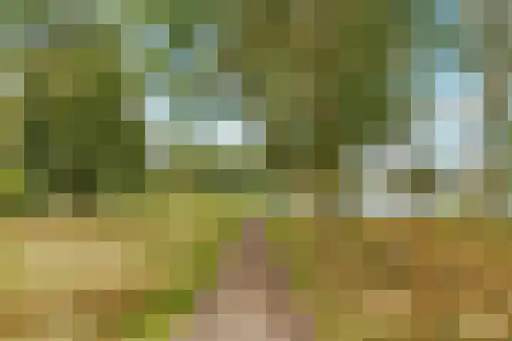 Reggeplantsoen 5 Almere thumbnail 61