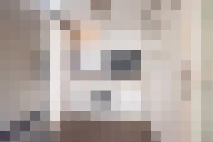 Reggestraat 1 Ulft thumbnail 15