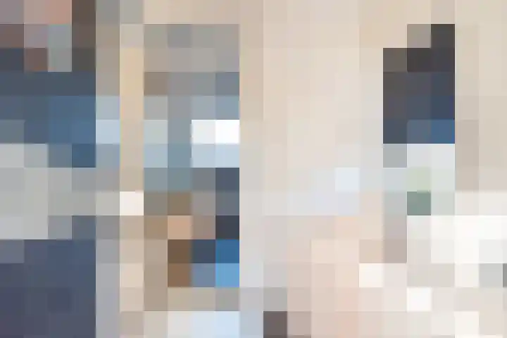 Reggestraat 1 Ulft thumbnail 20