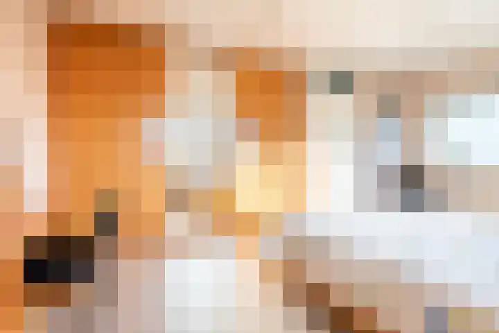 Reggestraat 1 Ulft thumbnail 22