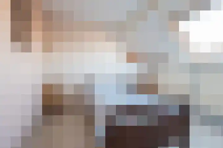 Reggestraat 1 Ulft thumbnail 27