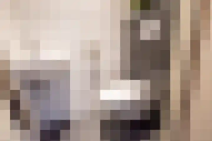 Reggestraat 1 Ulft thumbnail 8