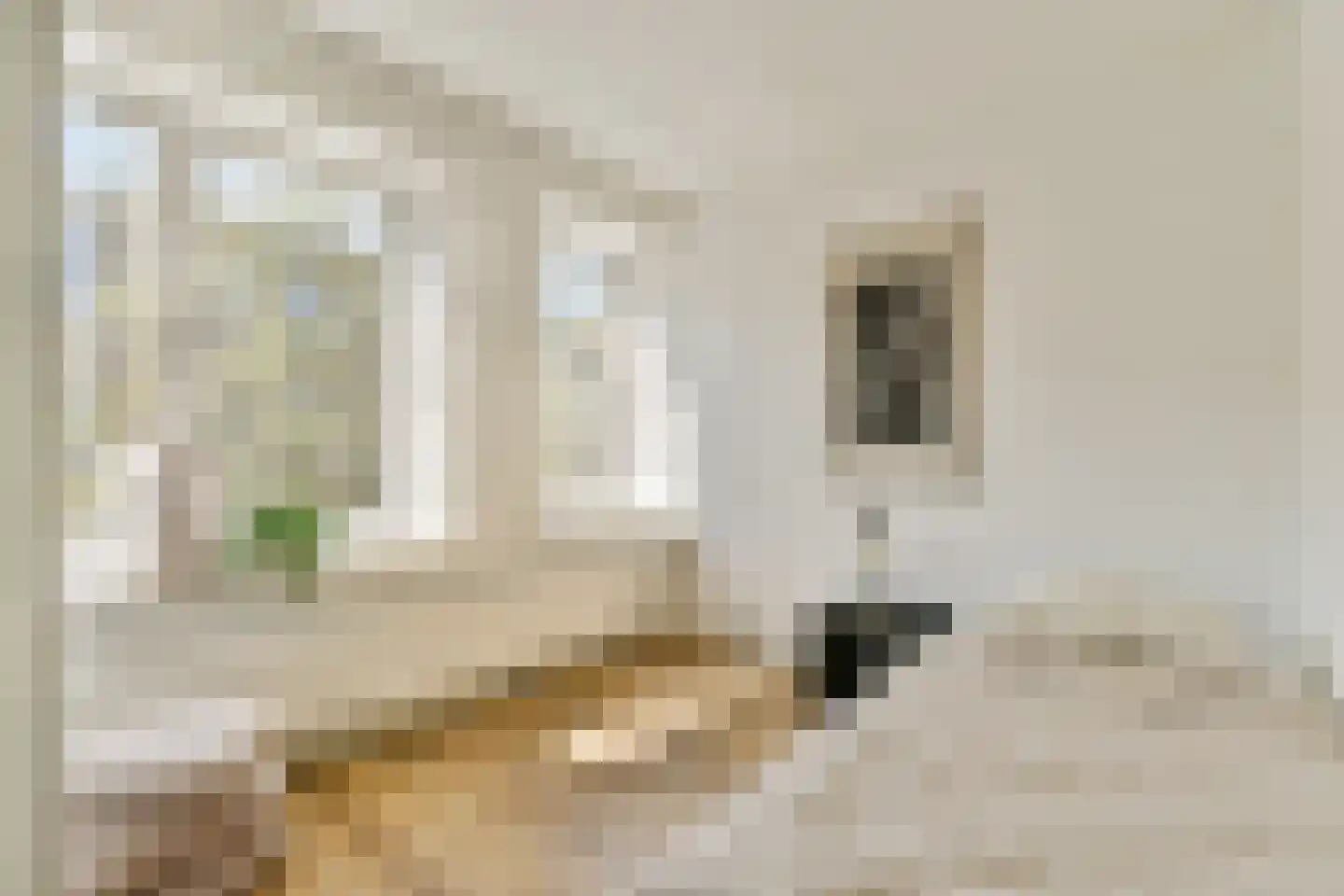 Reggestraat 13 2 Amsterdam thumbnail 11