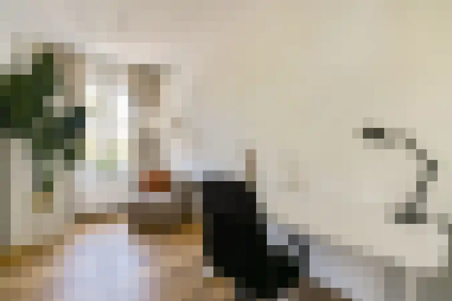 Reggestraat 13 2 Amsterdam thumbnail 13