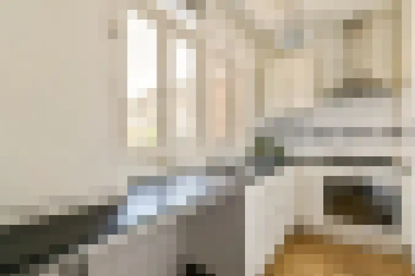 Reggestraat 13 2 Amsterdam thumbnail 6