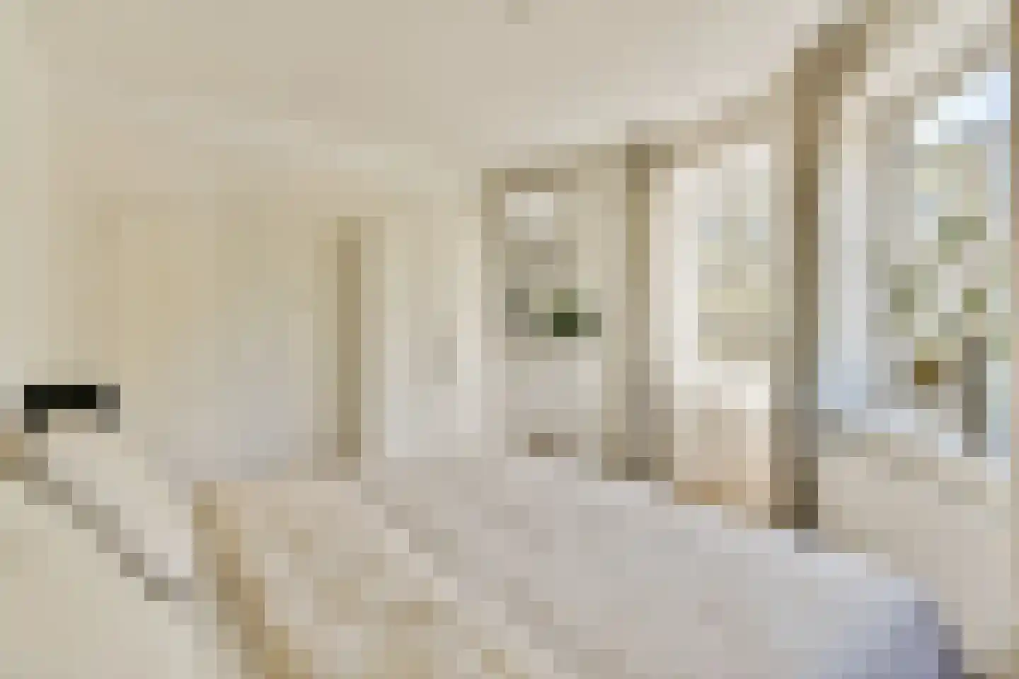 Reggestraat 13 2 Amsterdam thumbnail 9