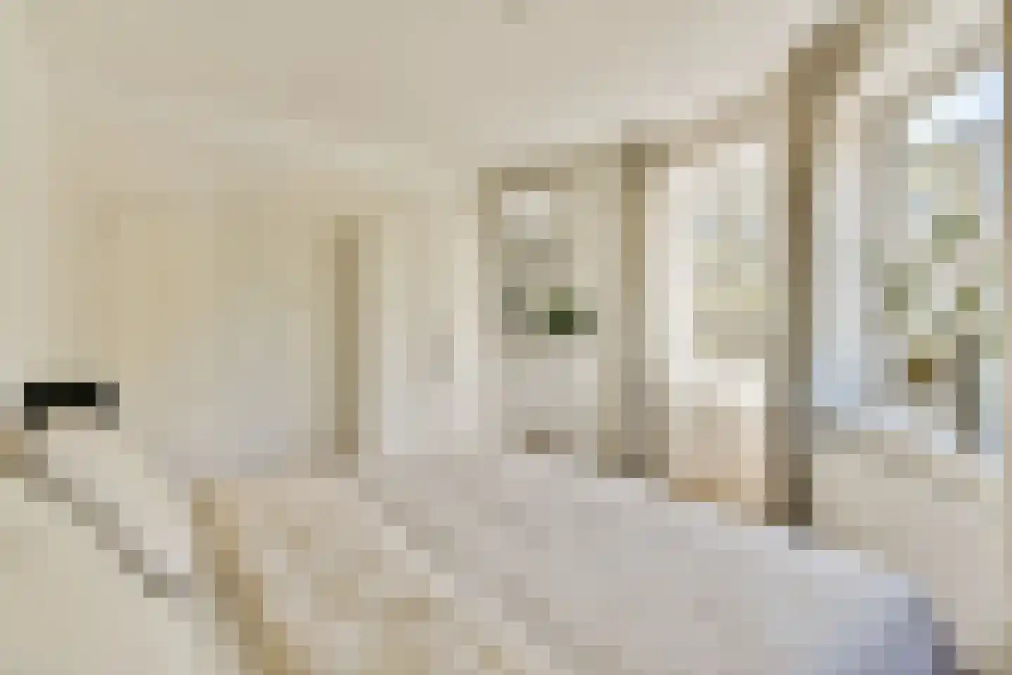 Reggestraat 13 2 Amsterdam thumbnail 9