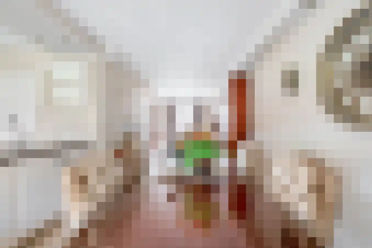 Reggestraat 13 Helmond thumbnail 22