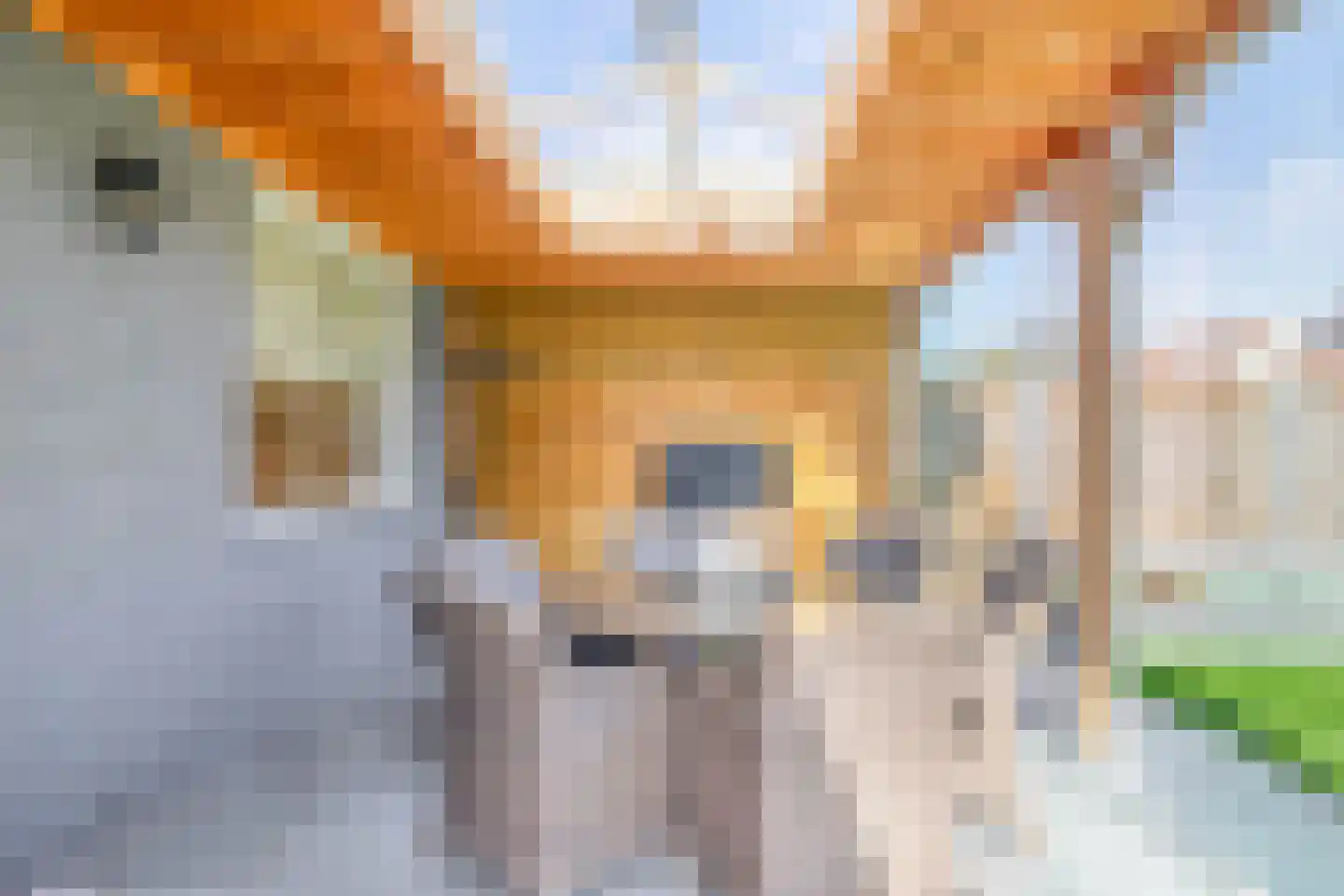 Reggestraat 13 Helmond thumbnail 31