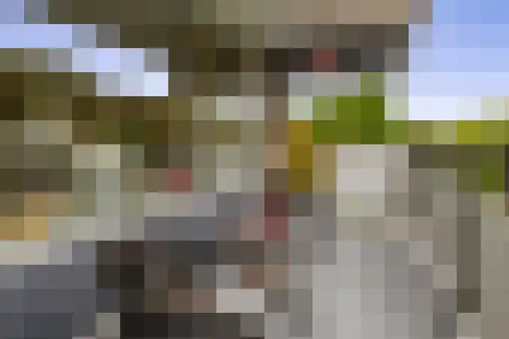 Reggestraat 19 Ridderkerk thumbnail 18