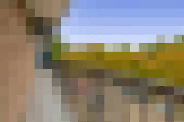 Reggestraat 19 Ridderkerk thumbnail 19