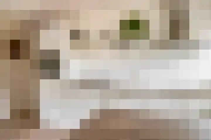 Reggestraat 19 Ridderkerk thumbnail 4