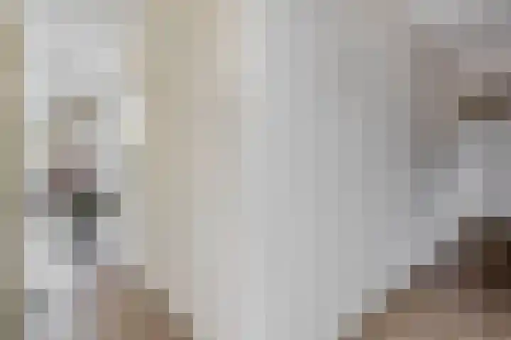 Reggestraat 19 Ridderkerk thumbnail 6