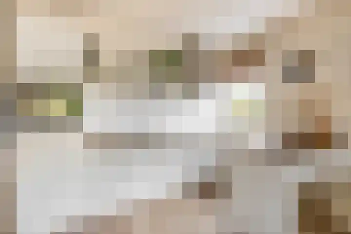 Reggestraat 19 Ridderkerk thumbnail 8
