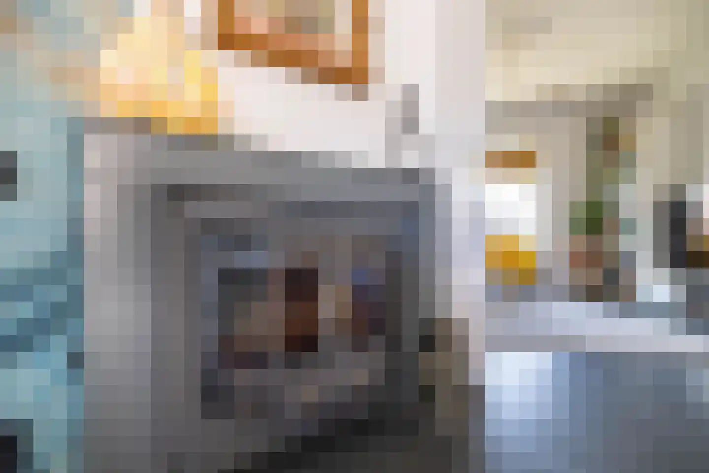Reggestraat 2 Almelo thumbnail 8