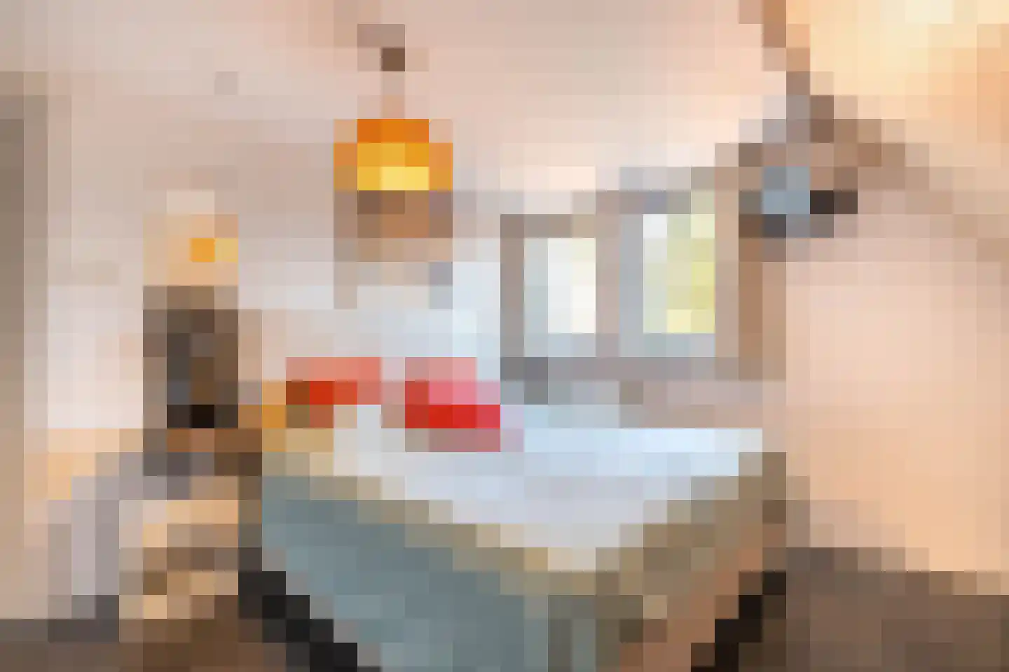 Reggestraat 2 Almelo thumbnail 15