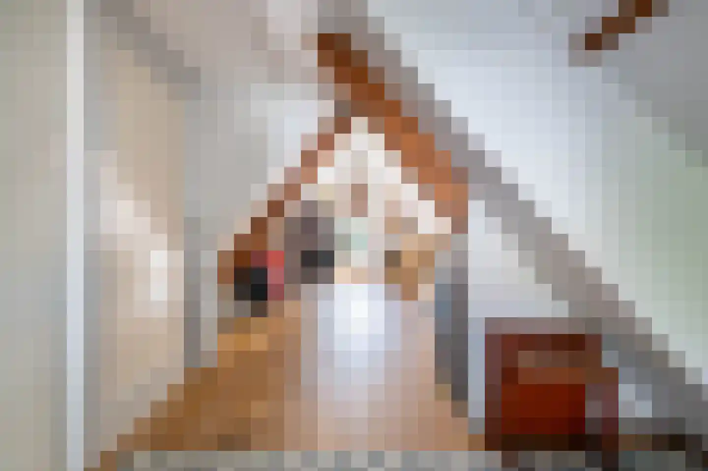 Reggestraat 2 Almelo thumbnail 34