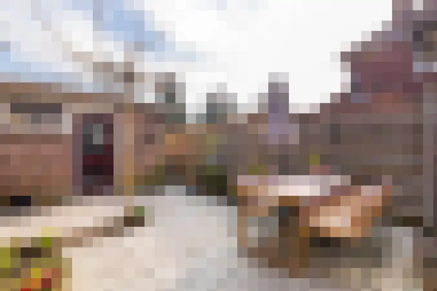 Reggestraat 2 Almelo thumbnail 39