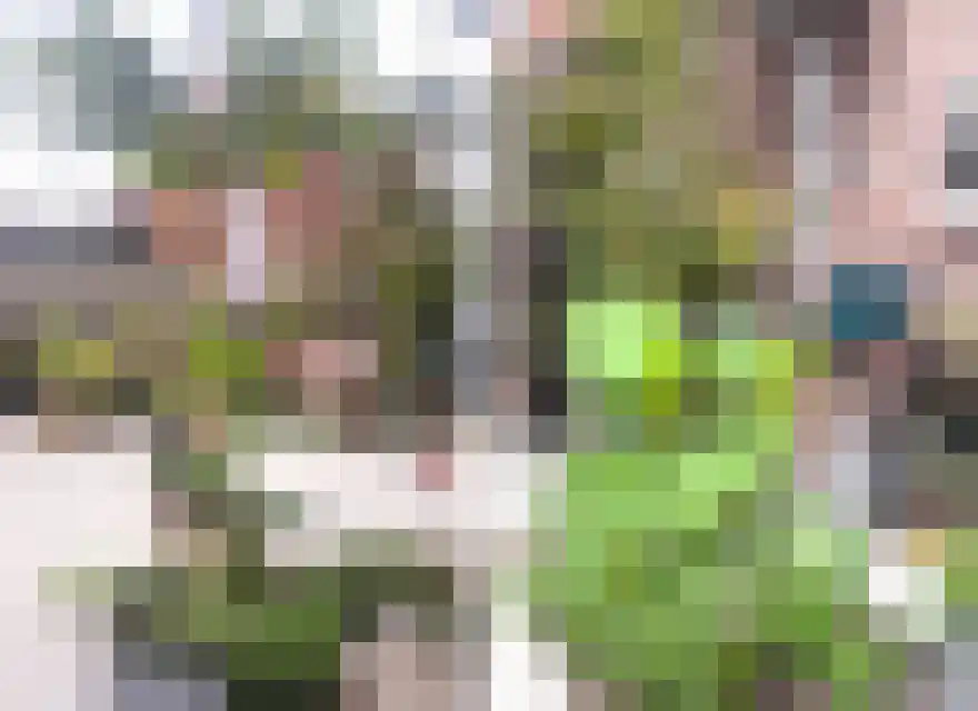 Reggestraat 2 Almelo thumbnail 43