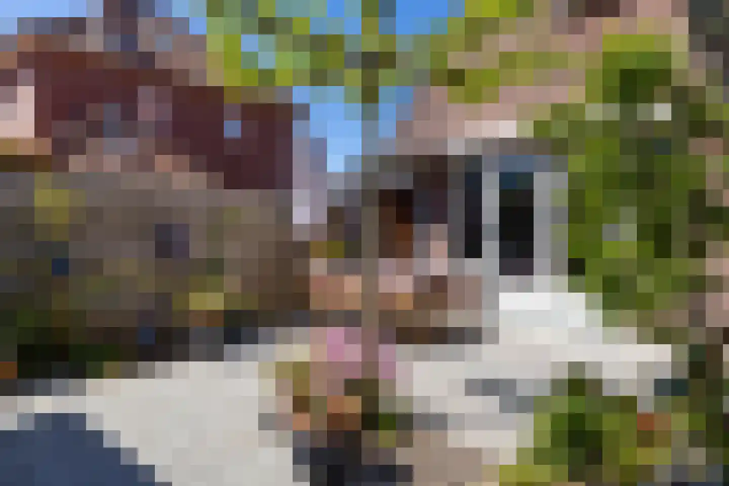 Reggestraat 2 Almelo thumbnail 44