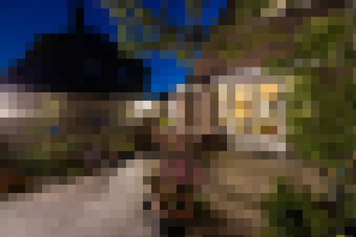 Reggestraat 2 Almelo thumbnail 30