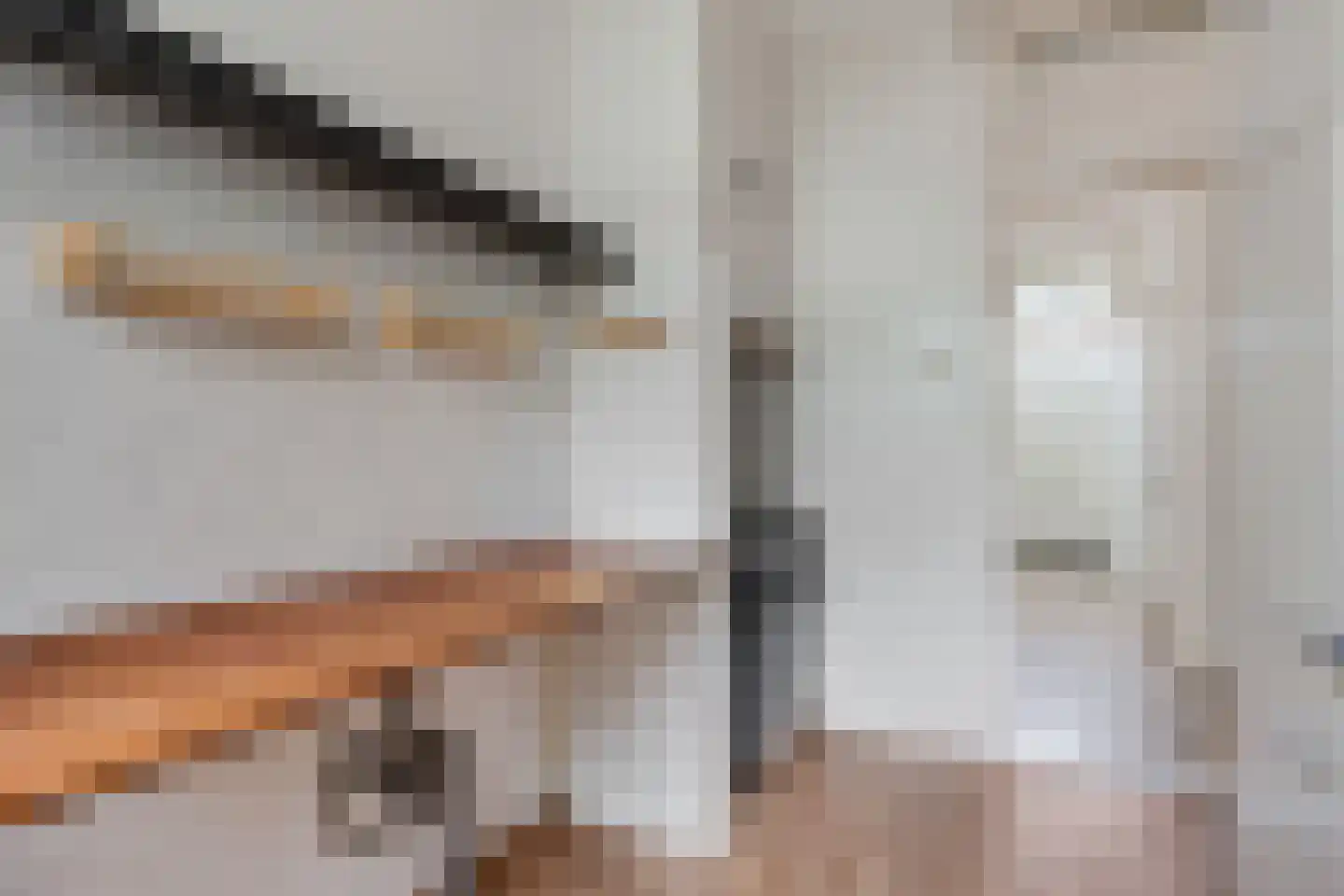 Reggestraat 2 Den Haag thumbnail 11
