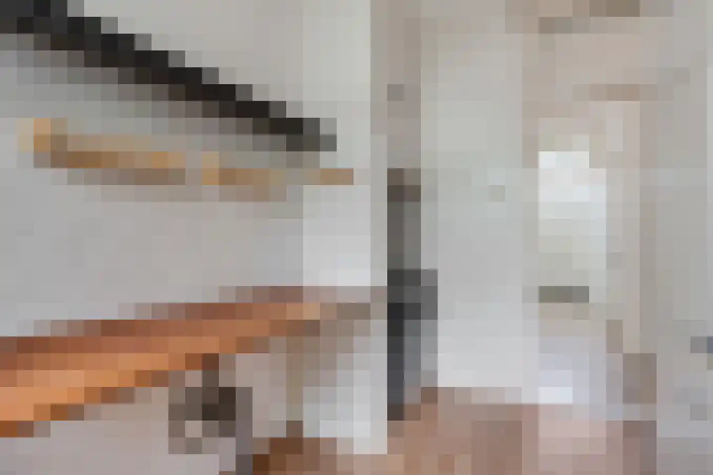 Reggestraat 2 Den Haag thumbnail 11