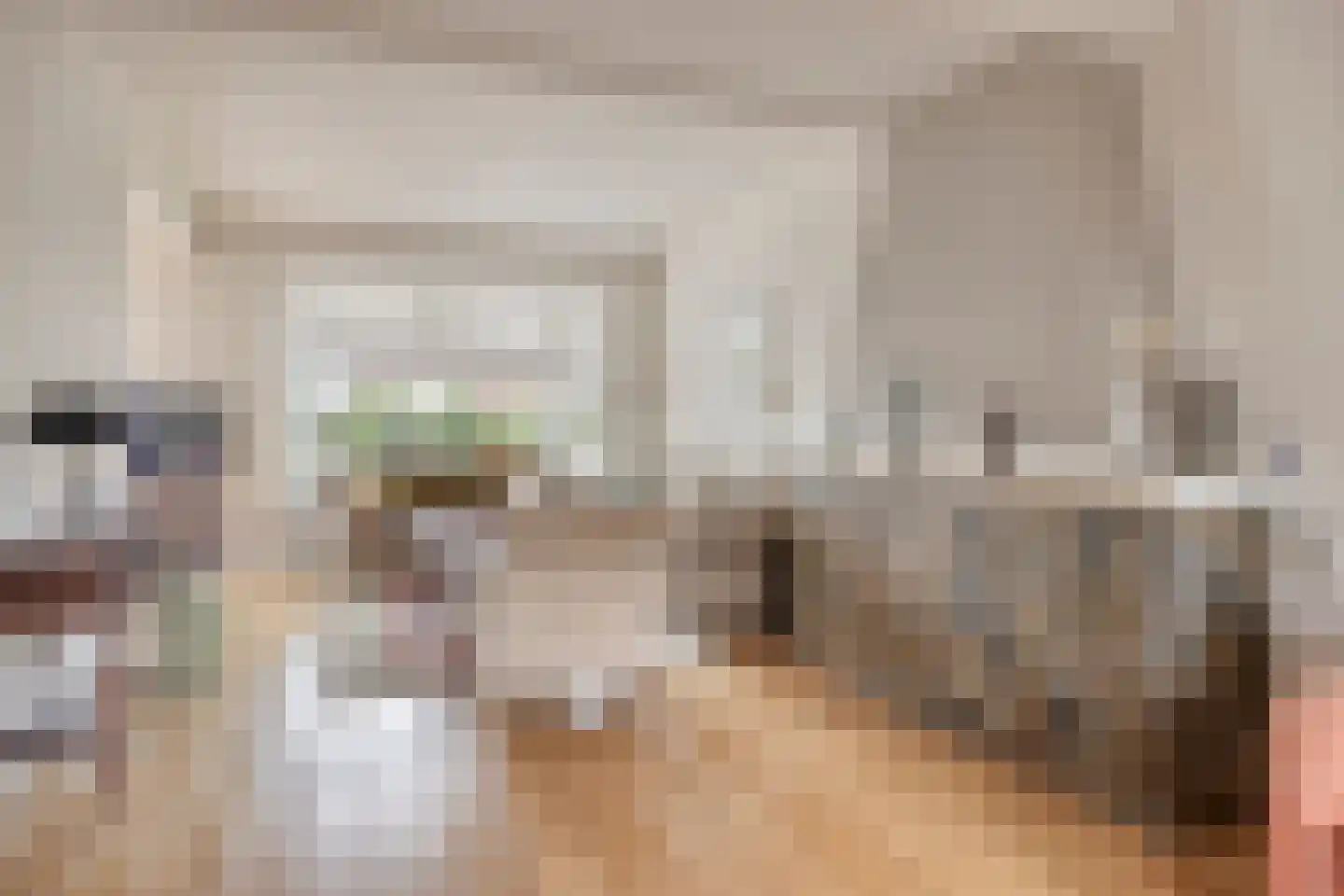 Reggestraat 28 Almelo thumbnail 11