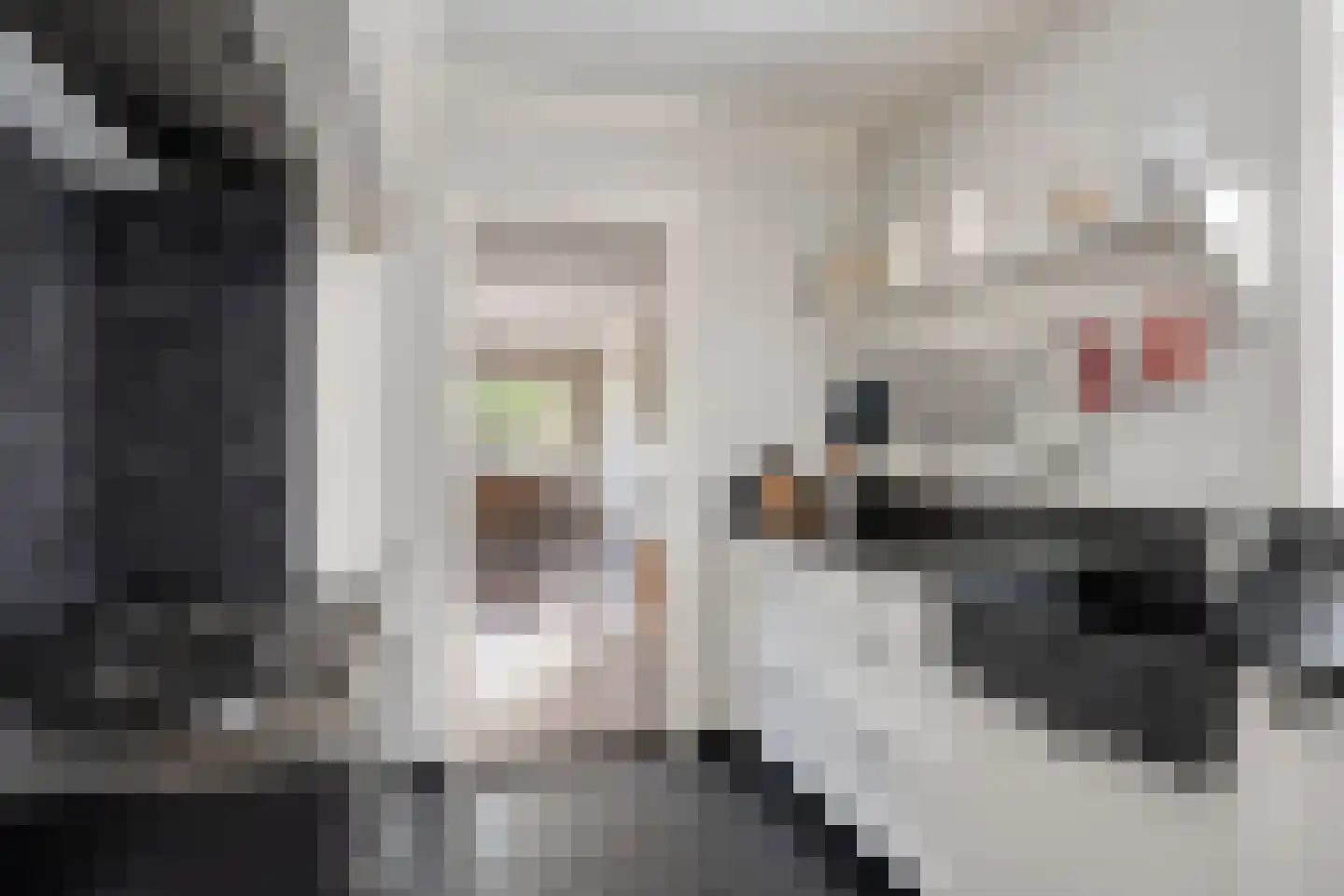 Reggestraat 28 Almelo thumbnail 17