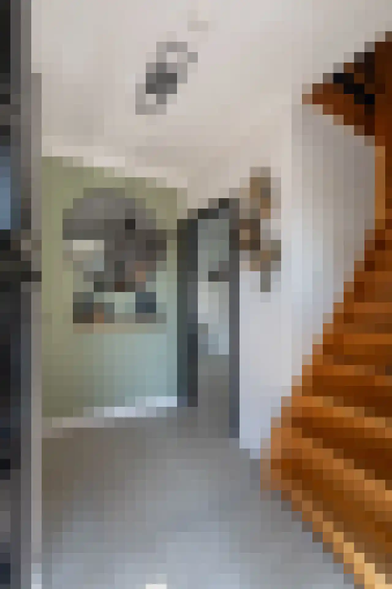 Reggestraat 3 Enter thumbnail 4