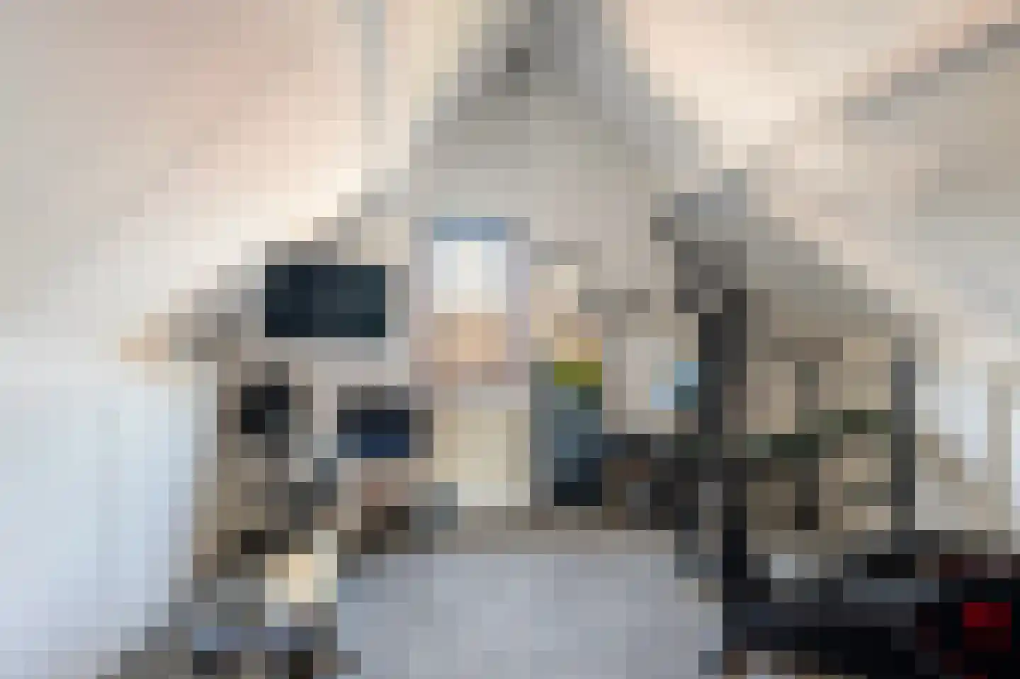 Reggestraat 3 Hattem thumbnail 29