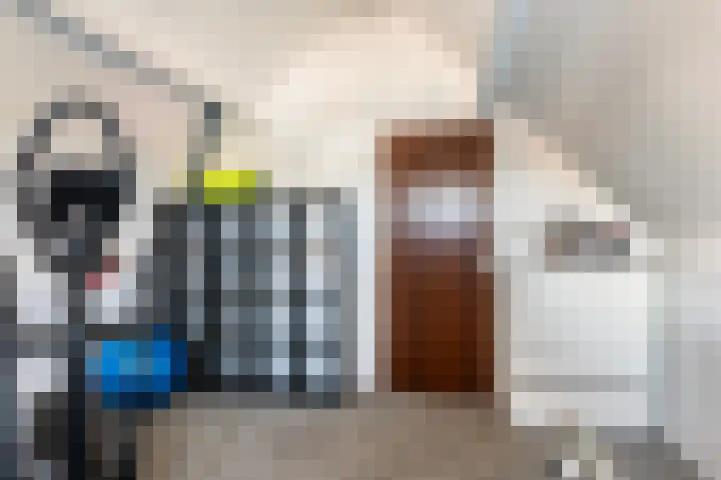Reggestraat 3 Hattem thumbnail 30