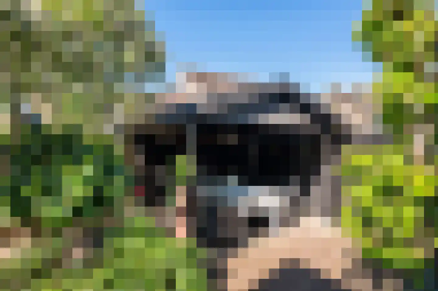 Reggestraat 3 Hattem thumbnail 4