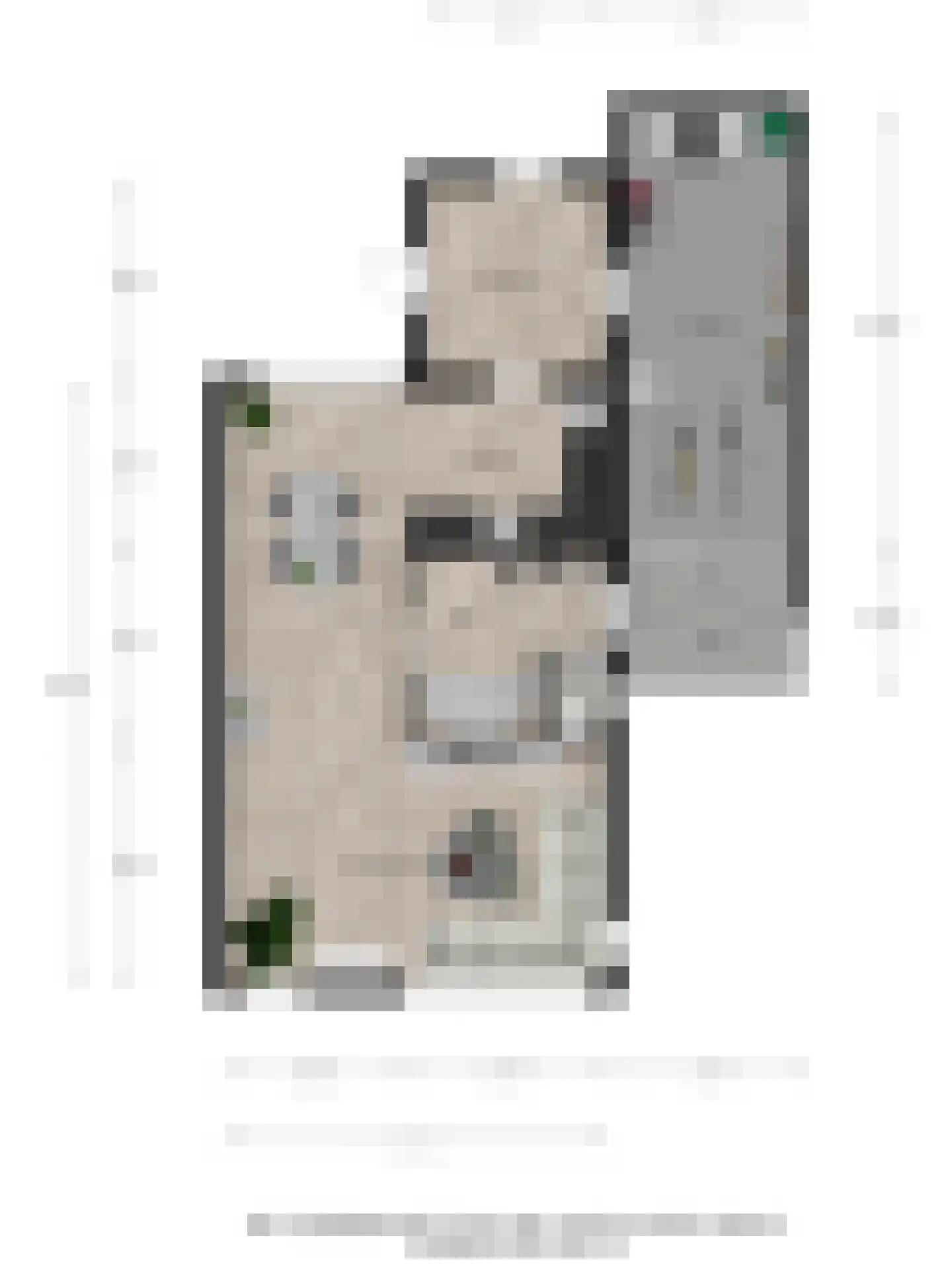 Reggestraat 3 Hattem thumbnail 41