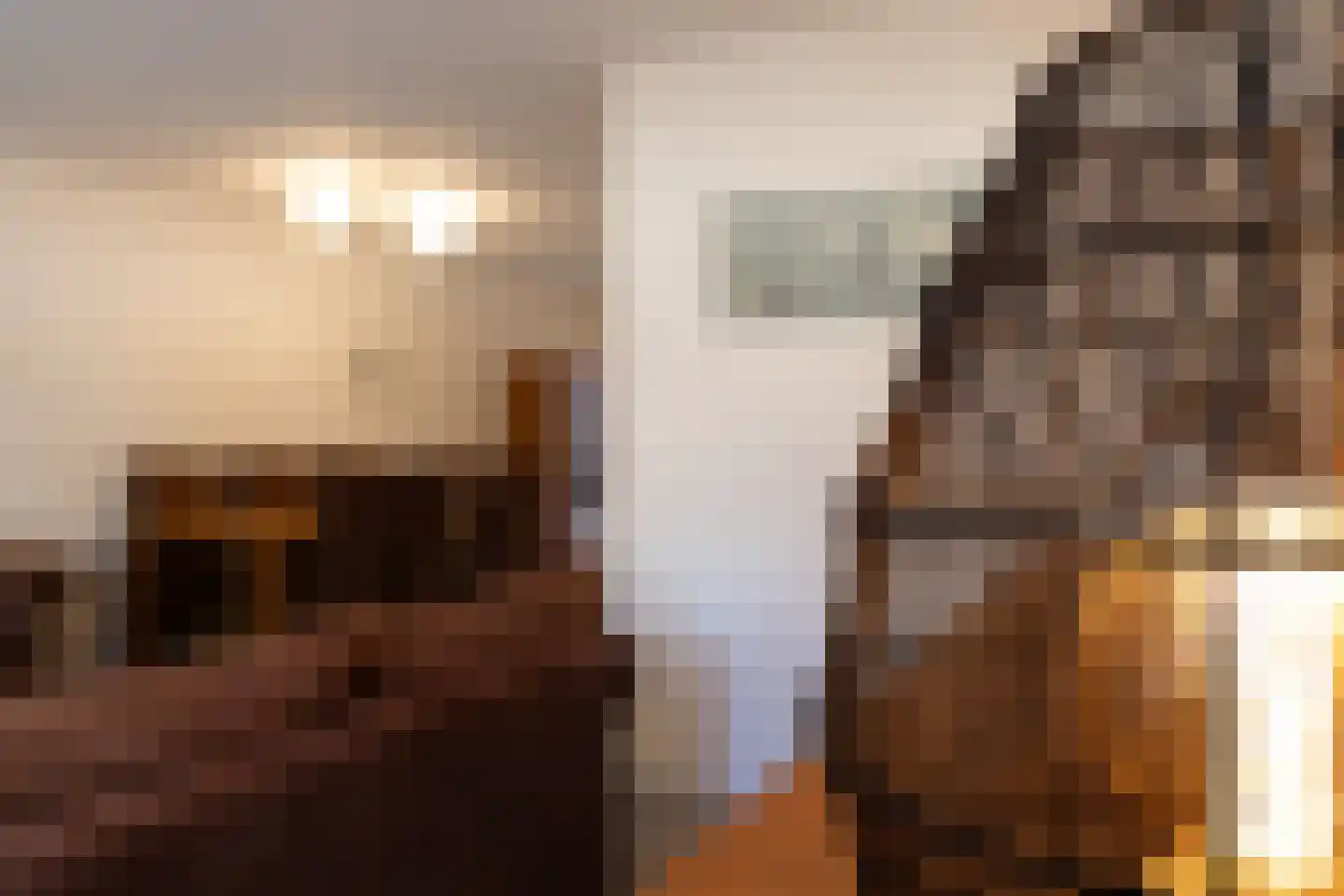 Reggestraat 3 Ulft thumbnail 11