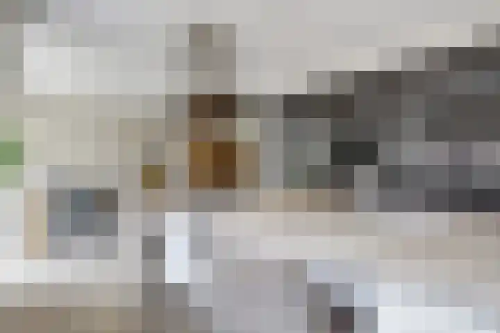 Reggestraat 3 Winterswijk thumbnail 17