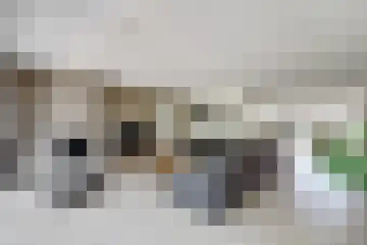 Reggestraat 3 Winterswijk thumbnail 9