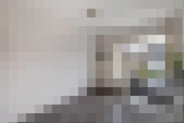 Reggestraat 31 Emmeloord thumbnail 21