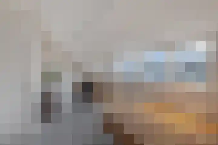 Reggestraat 31 Emmeloord thumbnail 28